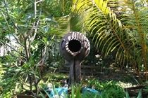 Sandies Bathala Maldives Bathala Island Экстерьер фото